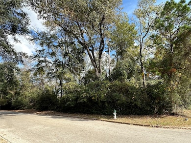 218 Broadmoor Dr, Huntsville, TX 77340 - photo 2