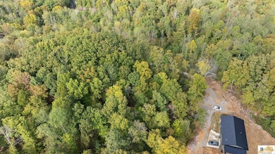 0 White Oak Rd, Cub Run, KY 42729 - photo 4