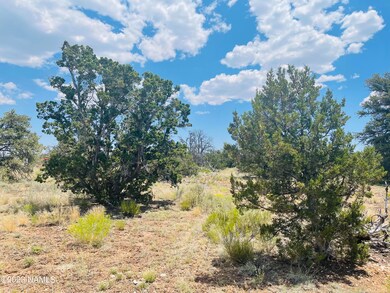 4799 N Hidden Ranch Rd Photo 4