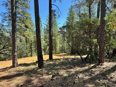 1815-Lot 397 E Summit View Dr, Meadow Vista, CA 95722 - photo 7