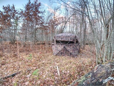 XXXX Aspen Hill Court Ct, Danbury, WI 54830 - photo 6