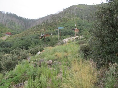 Septic on site