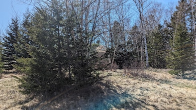 PXL_20240425_181405413