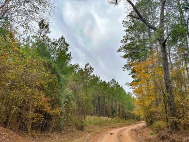 0 Cr 1651 unit 20219279, Avinger, TX 75630 - photo 7