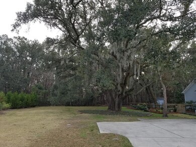 20200114_163424.jpg 3224 tree