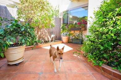 Both Patios fenced for pets