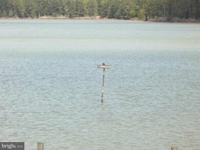 17549 River Dr, Piney Point, MD 20674 - photo 4