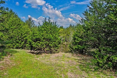 3428 Hwy 120 West Hwy W, Pottsboro, TX 75076 - photo 3