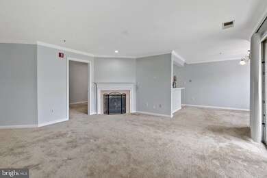 8901 Stone Creek Place unit 204, Pikesville, MD 21208 - photo 5