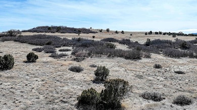 Bernard Ave, Rye, CO 81069 - photo 7