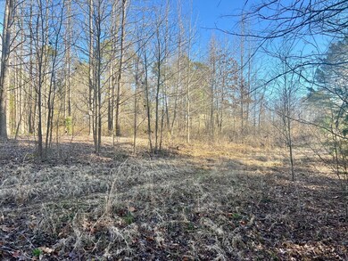 View of local wilderness