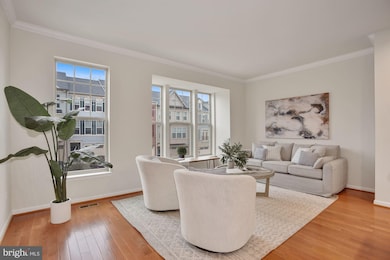 43336 Semolina Terrace, Chantilly, VA 20152 - photo 5