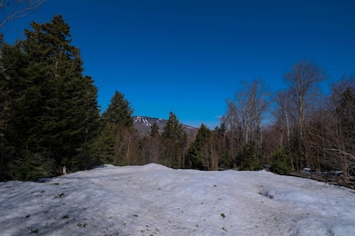 Nice homesite