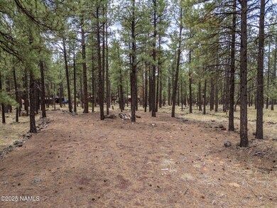 7454 E Robin Hood Rd, Parks, AZ 86046 - photo 7