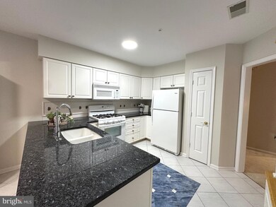 12103 Tullamore Ct unit 204, Lutherville Timonium, MD 21093 - photo 6