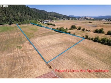 1555 Northside Rd, Sutherlin, OR 97479 - photo 4