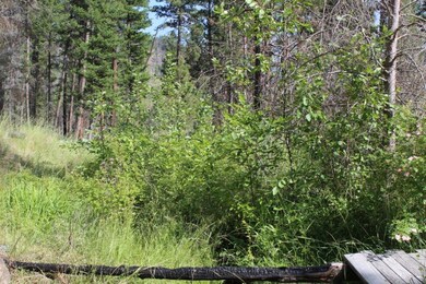 0 Corral Gulch Rd unit 220104153, Canyon City, OR 97820 - photo 4