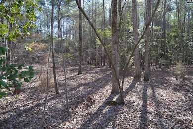 4051 Hard Scrabble Rd, Columbia, SC 29223 - photo 2