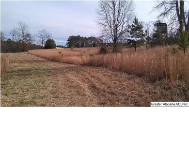 1051 County Road 286 unit 23, Roanoke, AL 36274 - photo 7