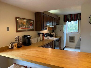 7 White Cap Way unit 6, Waterville Valley, NH 03215 - photo 3