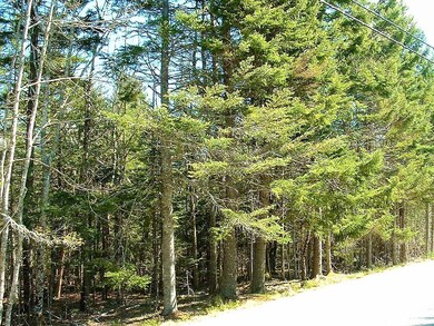 View of Lot & Road