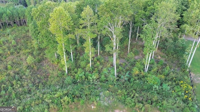 LT 272 Highgrove Dr, Talking Rock, GA 30175 - photo 7