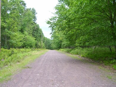 Lot 149 Mountain Top Rd, Lackawaxen Township, PA 18435 - photo 6