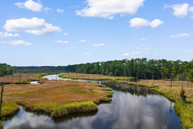 74 Blueberry Ln, Georgetown, SC 29440 - photo 4