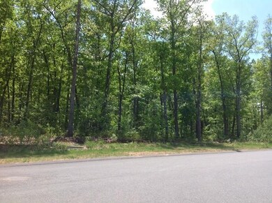 Lot 19 Turning Leaf Rd, Ludlow, MA 01056 - photo 3