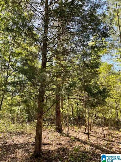 0 Bone Dry Rd unit 1, Kimberly, AL 35091 - photo 4