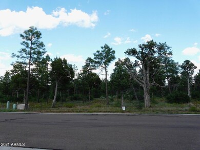 2181 S Ridge Crest Dr unit 6, Show Low, AZ 85901 - photo 4