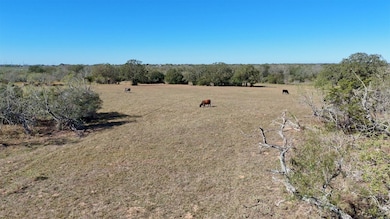 7180 County Road 283, Harwood, TX 78632 - photo 5