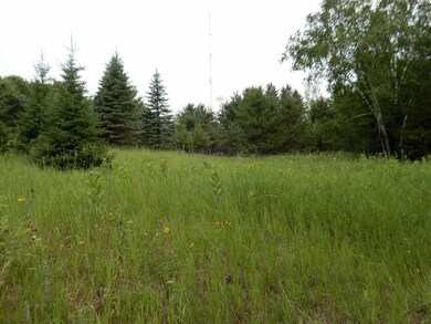 6550 Ccc Rd, Danbury, WI 54830 - photo 3