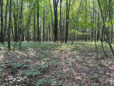 0 Allen Rd unit 24370349, Sardinia, NY 14055 - photo 7