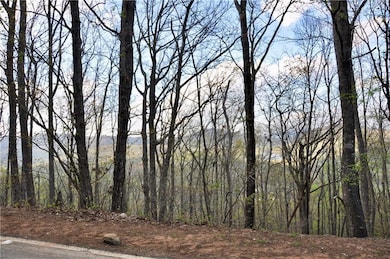 8259 Cox Mountain Dr, Big Canoe, GA 30143 - photo 3