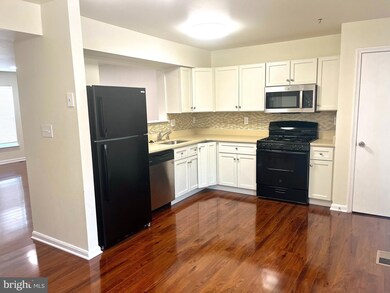 723 W Cherry Blossom Way, Baltimore, MD 21201 - photo 4