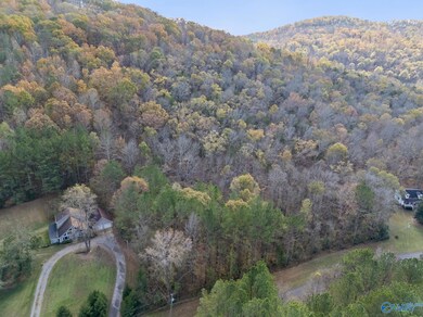 3 Acres Ashley Dr, Grant, AL 35747 - photo 4