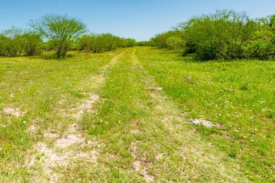 000 Ellis Rd, Beeville, TX 78102 - photo 5