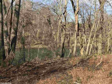 00 Arkansas 337, Heber Springs, AR 72543 - photo 5