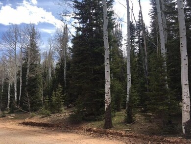 0 5 Ac Dry Lakes Rd unit Green Meadow Acres, Brian Head, UT 84719 - photo 4