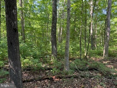 224 Spring Rd, Millington, MD 21651 - photo 2