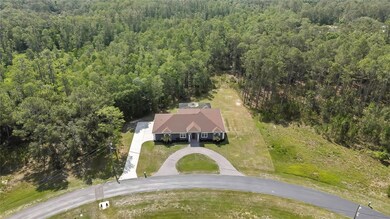 27338 Elkwood Cir, Wesley Chapel, FL 33544 - photo 3