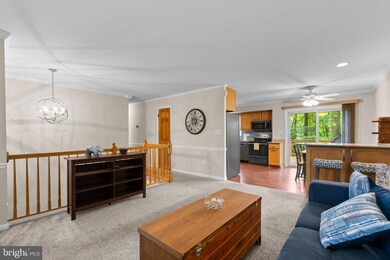 5409 Fantail Dr, Sykesville, MD 21784 - photo 4