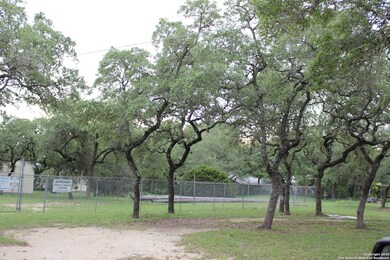 25915 Fleet Garden, San Antonio, TX 78255 - photo 7