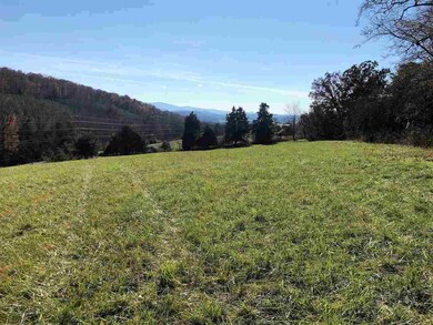 0 Forest Grove Rd unit 569410, Lexington, VA 24450 - photo 6