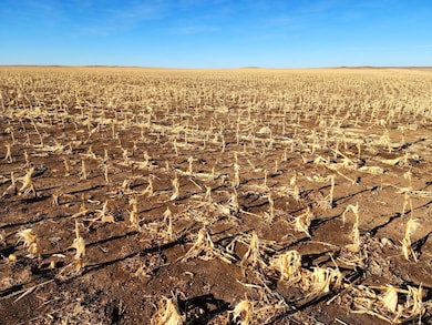 Road 33w, Bushnell, NE 69145 - photo 5