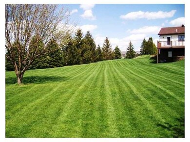 Yard/Garden