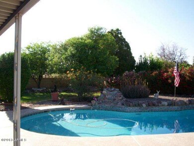 yard, pool