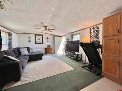 34344 Highway 160 unit 61, Durango, CO 81303 - photo 2