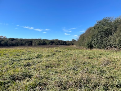 4115 S Il Route 31, Crystal Lake, IL 60012 - photo 2